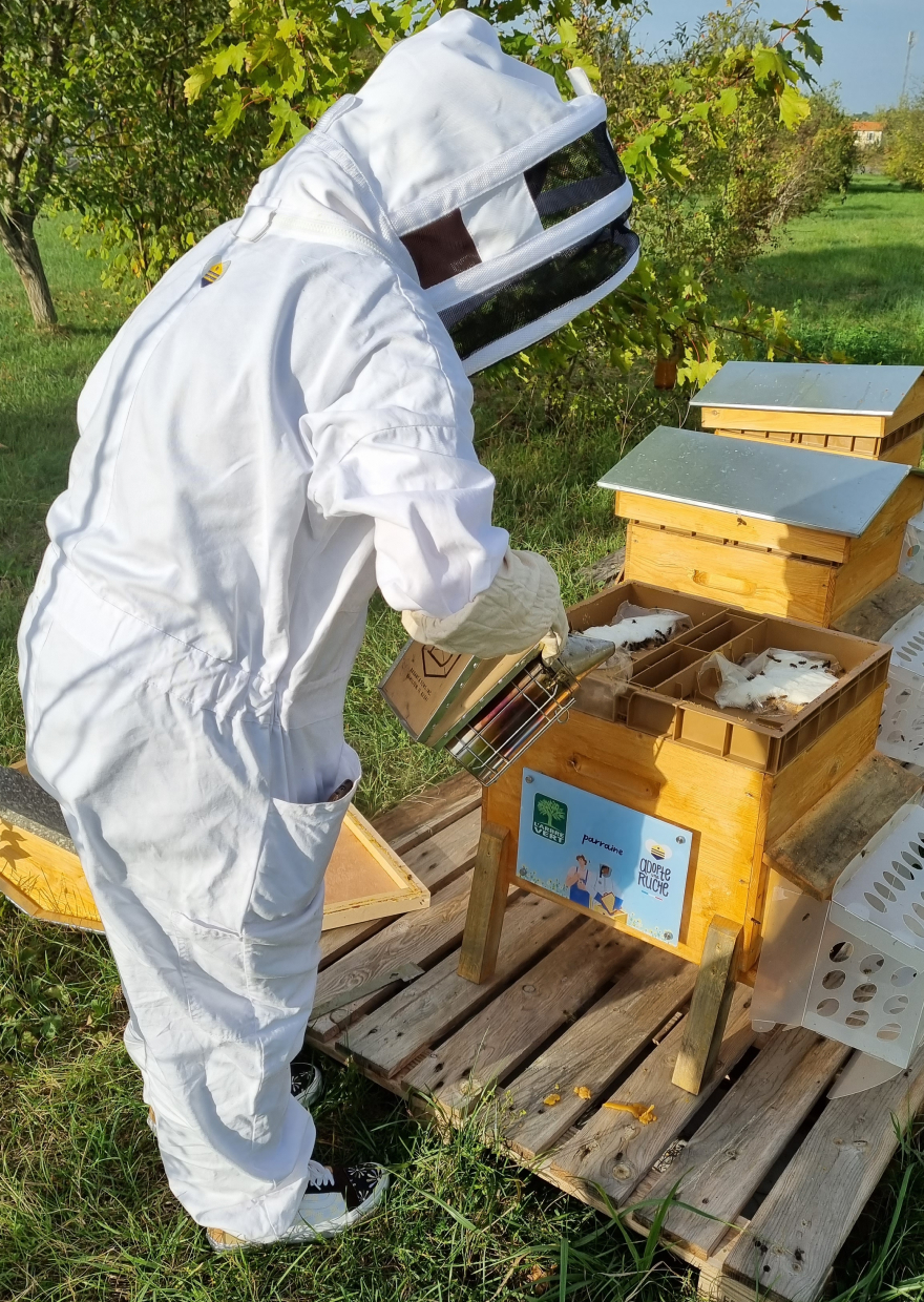 Tutela della biodiversità: L’Arbre Vert e la protezione delle api